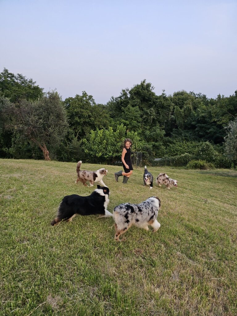 Bambina che corre sul prato con gli Australian Shepherd