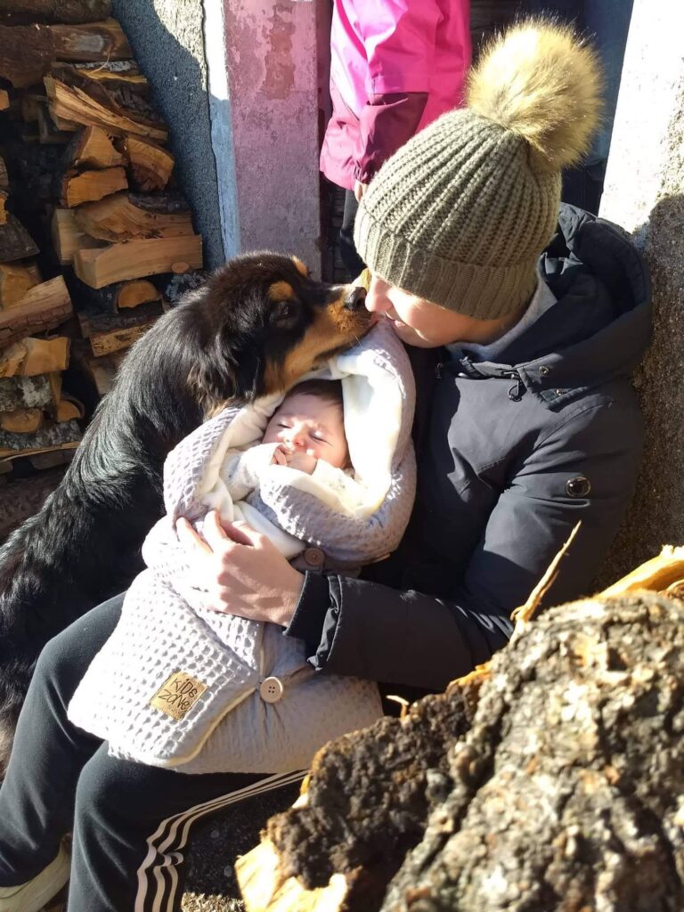 Australian Shepherd che saluta un neonato in famiglia